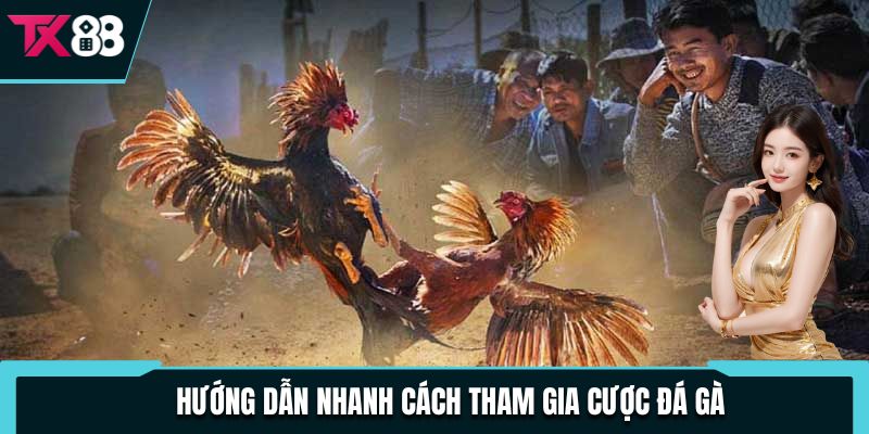 Hướng dẫn nhanh cách tham gia cược đá gà