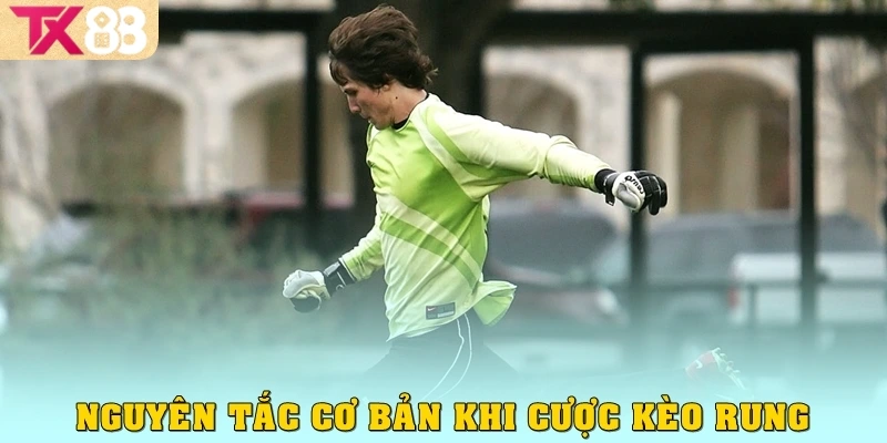 Nguyên tắc cơ bản khi cược kèo rung