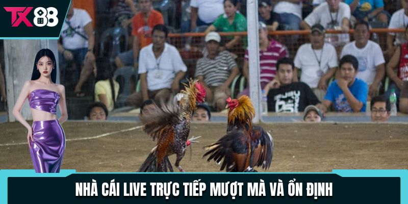 Nhà cái live trực tiếp mượt mà và ổn định
